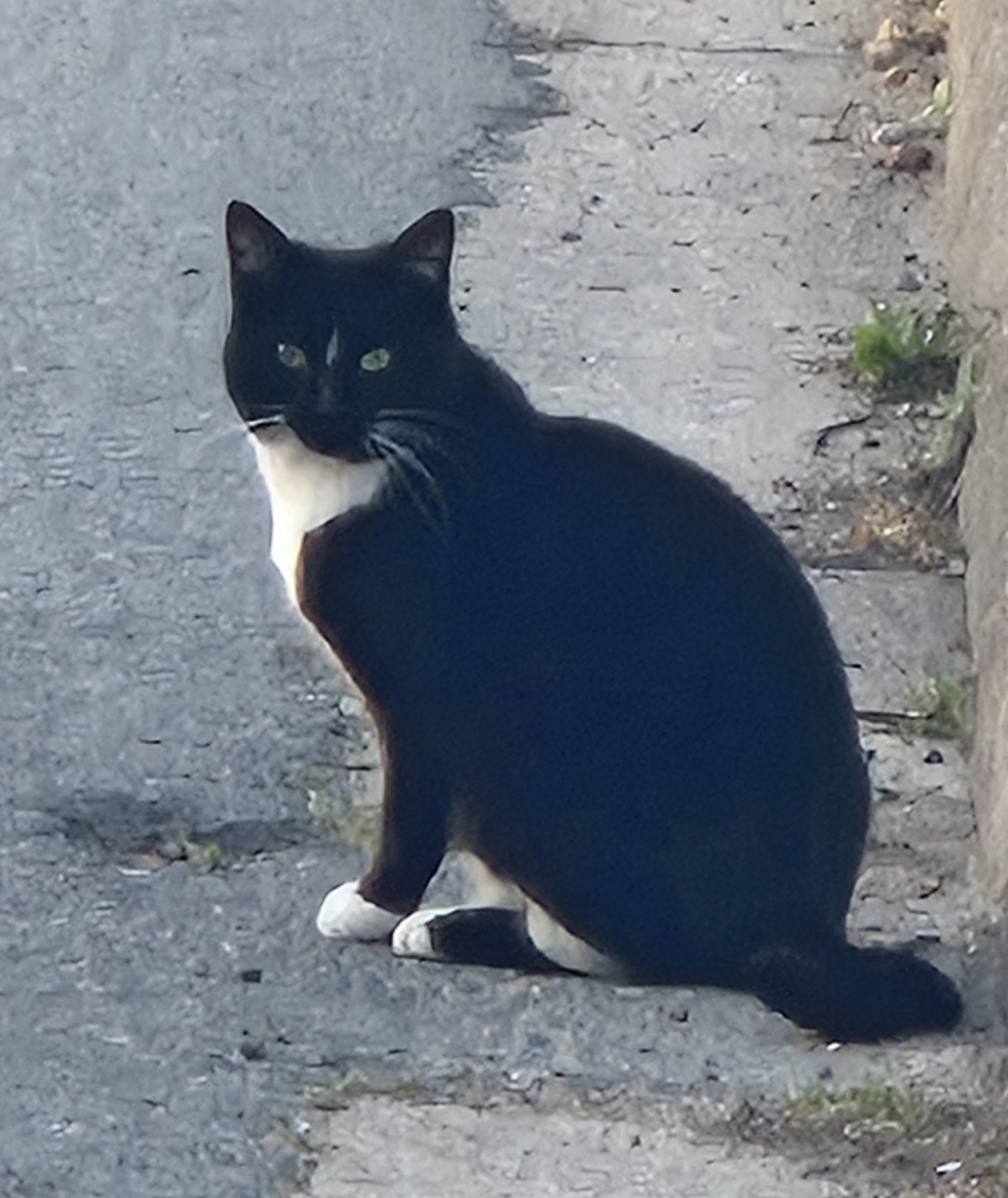 Photo de Chaussette
