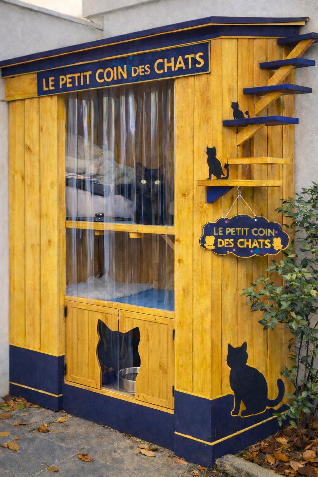 La grande cabane pour les chats